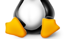 Featured image of post Linux